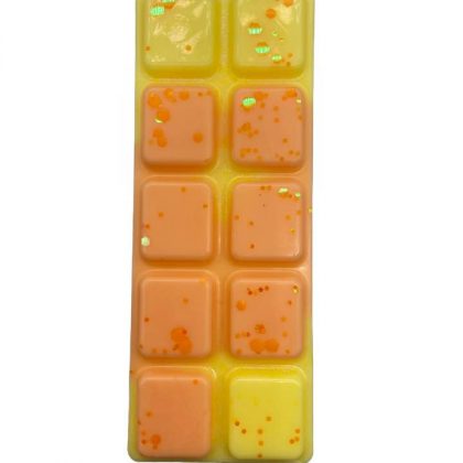 Cleaned the Kids Wax Melts - Snap Bar