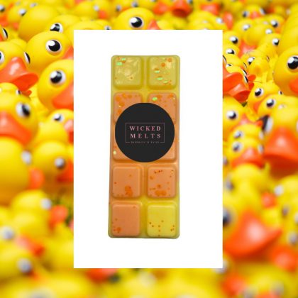 Cleaned the Kids Wax Melts - Snap Bar